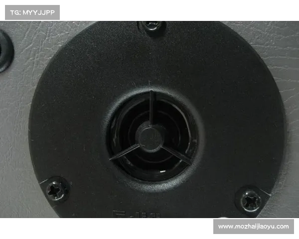 R1000TC北美版性能表现如何全面评测与分析