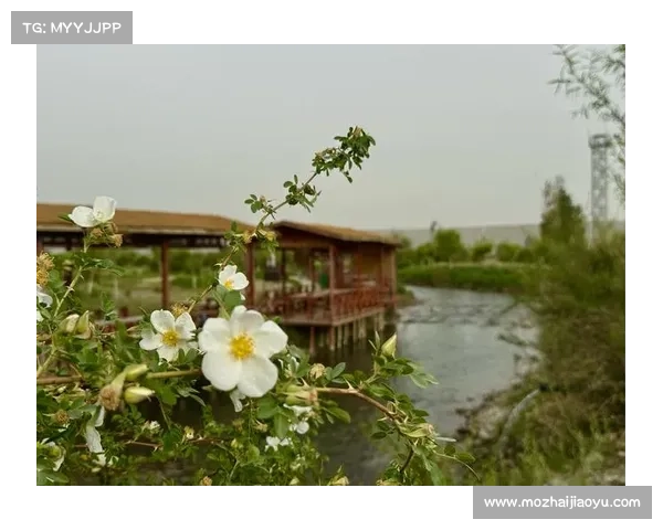 蝴蝶平原：在人与自然交织的诗意景致中共舞的和谐美好