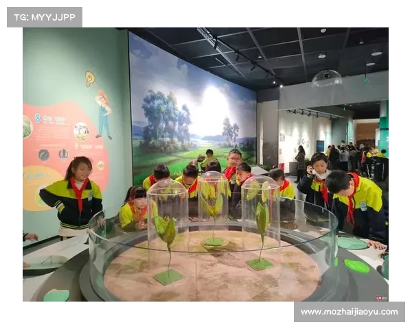 如何科学高效地规划外域探索之旅并确保全程安全与成功 如何科学高效地规划外域探索之旅并确保全程安全与成功