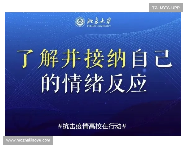下载天台爱情的独特理由与深度故事解读全面剖析